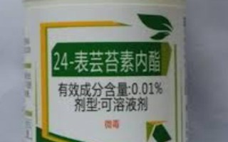 蕓苔素內(nèi)酯怎么使用，可以浸種或噴施葉面