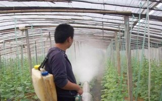 蔬菜低碳防蟲方法，可以肥治蟲、以死蟲治活蟲等