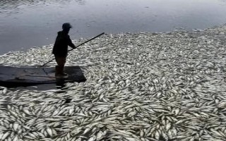 魚塘缺氧的原因，高溫、飼養(yǎng)密度大、淤泥過深等因素均會造成