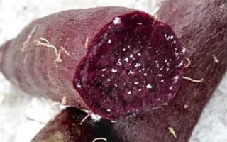 紫薯和紅薯的區(qū)別，前者味甜較貴、后者甜味淡較便宜