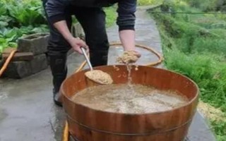 玉米播種前怎么浸種，以下4種方法均可使用