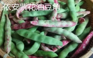 黑龍江樺南縣的特產(chǎn)，樺南白瓜籽遠(yuǎn)銷海外