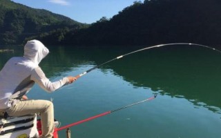 標(biāo)準(zhǔn)下頓口提竿不中魚(yú)的原因，最常見(jiàn)的是小魚(yú)鬧窩