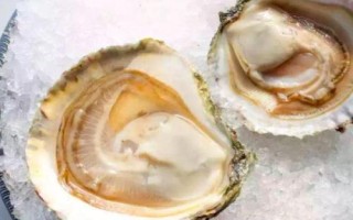 最貴的水產(chǎn)動(dòng)物是哪十種,包括藍(lán)龍蝦、帝王鮭、鵝頸藤壺等種類