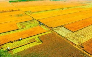 未來哪些土地可能會被征用，公路旁邊的土地可能會被征用擴寬