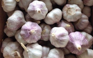 安徽省亳州市的特產(chǎn)，有蘇趙梨、苔干菜等
