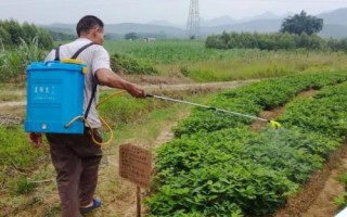 花生中后期常見的四種病害及防治方法，不同病害的防治方法不同