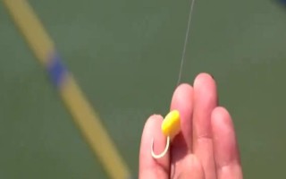 玉米釣魚是釣底還是半水，取決于魚種、釣場、天氣