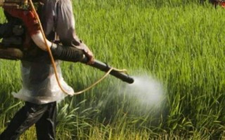 怎么提高微生物農(nóng)藥的藥效，在25-30℃的氣溫下打藥可增強(qiáng)藥效