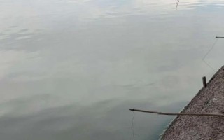 釣螃蟹的技巧，水草豐茂的位置可作為釣點(diǎn)