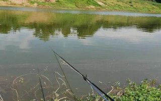 春天釣鯽魚用什么漂，根據(jù)垂釣場所調(diào)整浮漂選擇