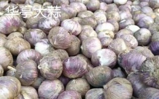 甘肅省酒泉市的特產(chǎn)水果，包括瓜州蜜瓜、瓜州西瓜等種類