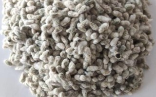 新陸中86號棉花種子特點，收獲株數(shù)每畝1萬～1.1萬株