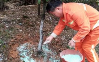 復(fù)合肥如何使用，需先測土質(zhì)再合理施用
