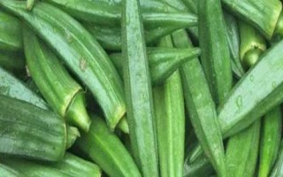 適合在農(nóng)村種植的農(nóng)作物，包括秋葵、香菜、小麥、水稻等品種