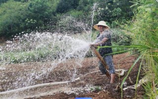 油菜苗期病蟲害如何防治，需要定期向土壤和周圍噴灑多菌靈等藥劑
