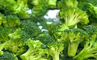 西蘭花能水培種植嗎，不能水培