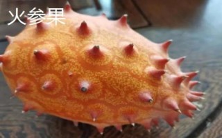 火參果是什么季節(jié)的水果，是夏秋季節(jié)的水果