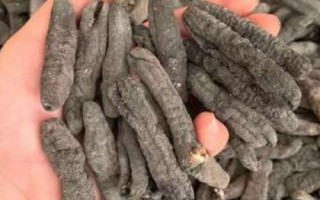 烏參的產(chǎn)地，我國主要分布在海南島