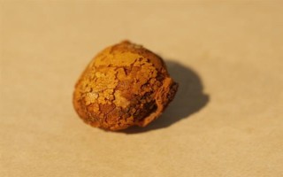 牛黃是如何形成的，是膽汁中的膽固醇形成的粒狀物