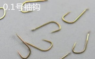 0.1號(hào)袖鉤和1號(hào)袖鉤尺寸對(duì)比，前者的鉤門寬約為1.9毫米、后者的鉤門寬約為2.7毫米