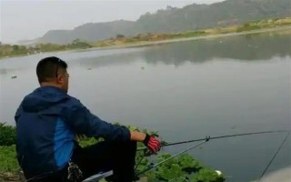 2.0號(hào)子線可以釣多重的魚(yú)，確保質(zhì)量能應(yīng)付10斤以內(nèi)的魚(yú)類