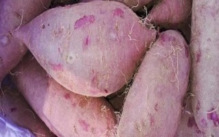 紫薯和紅薯的區(qū)別，前者味甜較貴、后者甜味淡較便宜